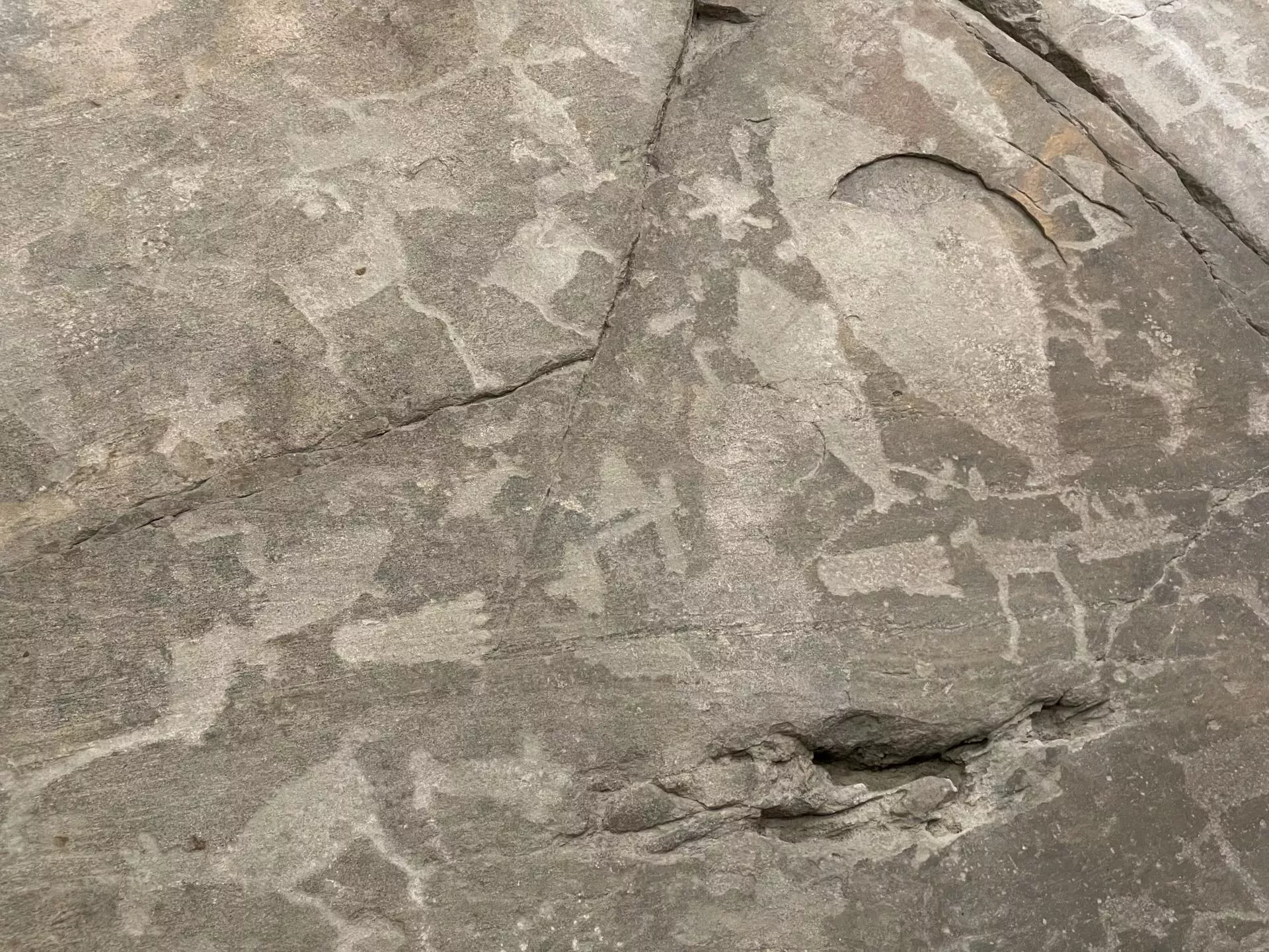 Беломорские петроглифы